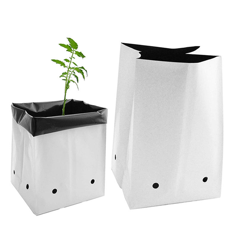 Cocopeat Growbag 2.5 kg
