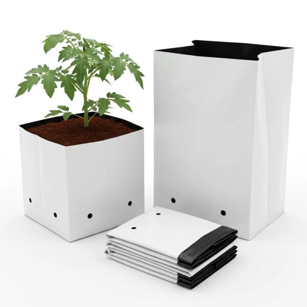 Cocopeat Growbag 5 kg