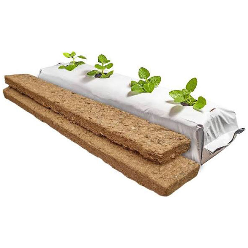 Cocopeat Polybag Low EC